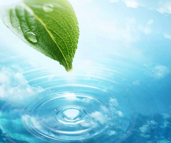 aquamaty